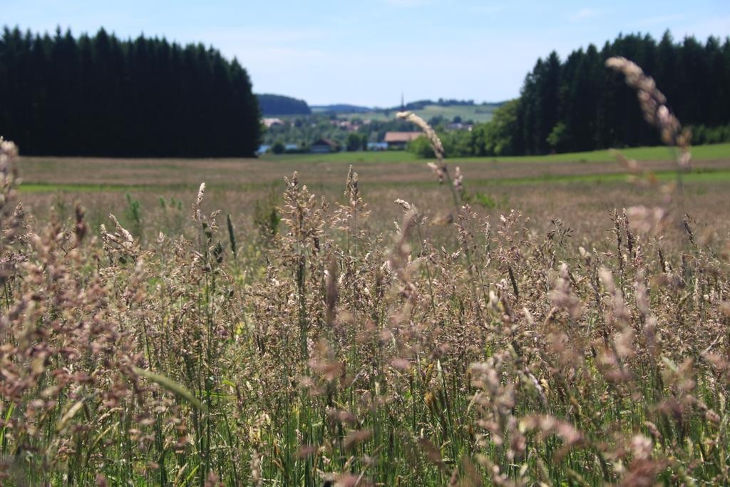 Zehentmayrhof Obing Pokoj fotografie